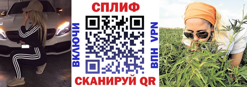 OMG зеркало  Киреевск  Шишки марихуана сатива 
